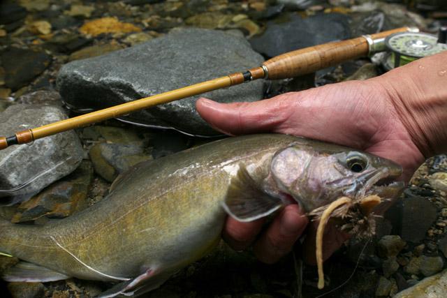 黒部川支流黒薙川北又谷の岩魚をマウスフライで釣る